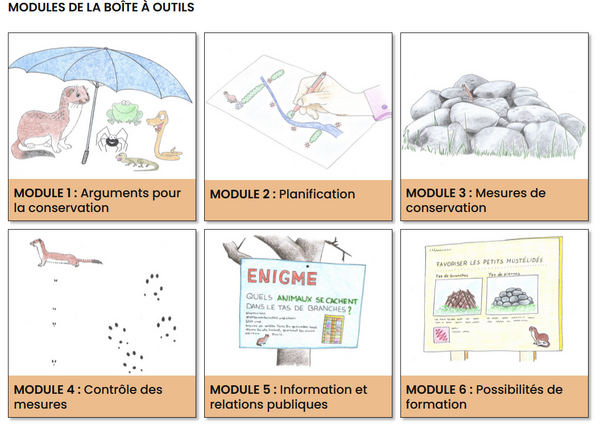 Les six modules pour la promotion de l'hermine et de la belette sont représentés avec des illustrations