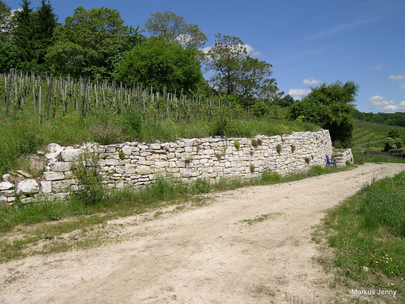 Trockensteinmauer