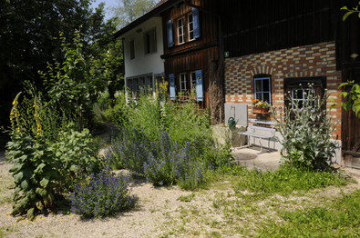 (c) Markus Jenni Areal eines Bauernhauses mit Wildpflanzen im Hof