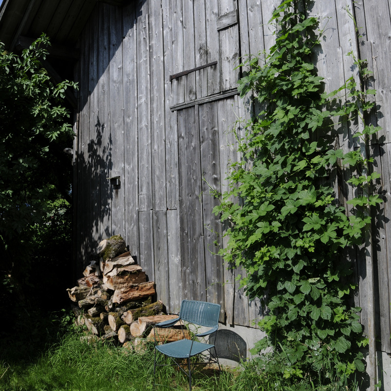 Holzfassade mit Begrünung