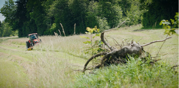 Un tas de branches. En arrière-plan, un tracteur fauche une prairie extensive.